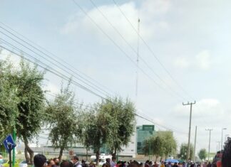 Saturan abogados los juzgados, no llegó “Susana Distancia”