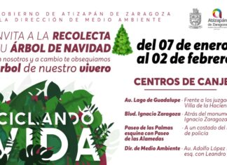 Atizapán Instala Centros de Canje de Árboles Navideños