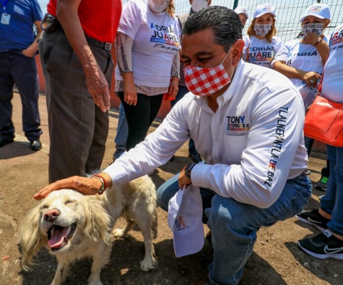 WhatsApp Image 2021-05-16 at 13.32.56 (1)