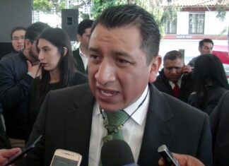 Pide Alcalde de Xalatlaco René Reza al Gobierno Federal que Frene la Tala Clandestina