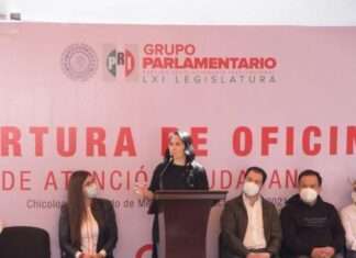 Quiere el PRI a Municipios Libres de Violencia Contra las Mujeres: ADM