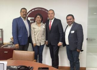 Acuerdan PVEM- MC-NA y FGJEM Acciones Conjuntas en Seguridad