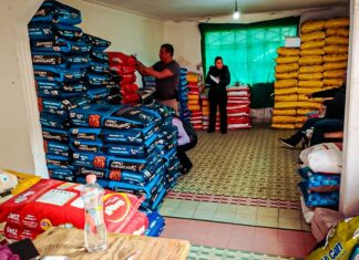 ACME Recolecta 6.5 Toneladas de Croquetas para Apoyar Iniciativa de la Gobernadora Delfina Gómez