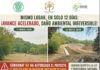 Vecinos y Ambientalistas Denuncian Irregular Obra para Extraer Agua del Lago de Guadalupe