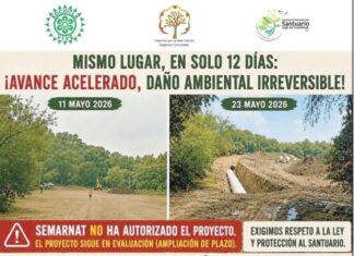 Vecinos y Ambientalistas Denuncian Irregular Obra para Extraer Agua del Lago de Guadalupe