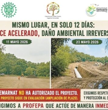 Vecinos y Ambientalistas Denuncian Irregular Obra para Extraer Agua del Lago de Guadalupe