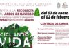 Atizapán Instala Centros de Canje de Árboles Navideños