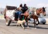Prohíben en Ecatepec el Uso de Animales Para Recolección de Basura