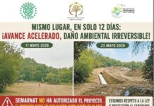 Vecinos y Ambientalistas Denuncian Irregular Obra para Extraer Agua del Lago de Guadalupe